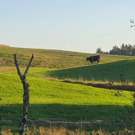 ホームステイ I Przy Lesniczowce *