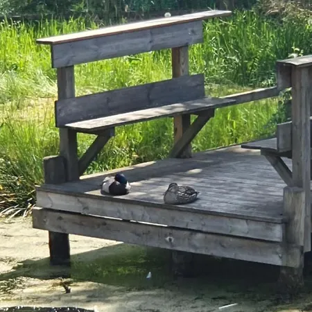 ホームステイ I Przy Lesniczowce