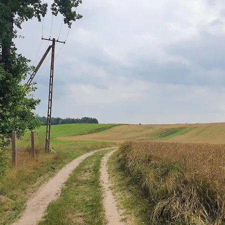 I Przy Lesniczowce * ビエレ