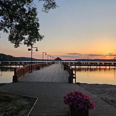 I Przy Lesniczowce ビエレ