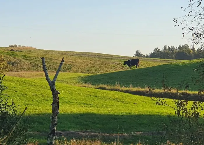 Homestay szállás I Przy Lesniczowce *