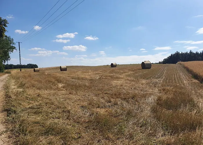 Kwatera prywatna I Przy Leśniczówce