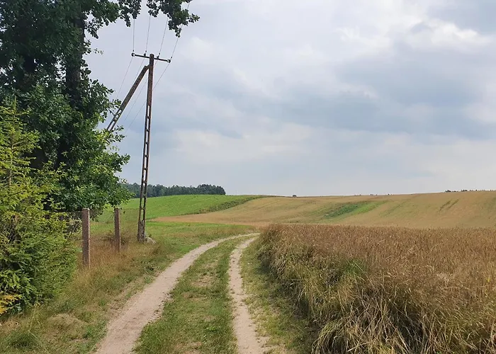 I Przy Leśniczówce * Wiele