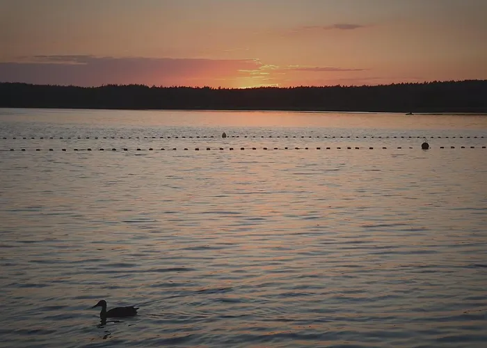 Kwatera prywatna I Przy Leśniczówce Wiele